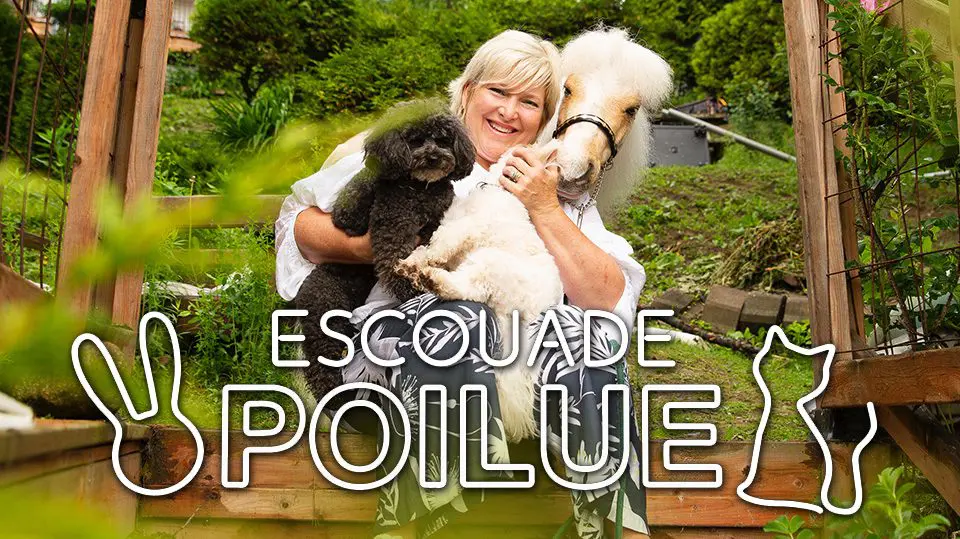 Photo logo Escouade poilue