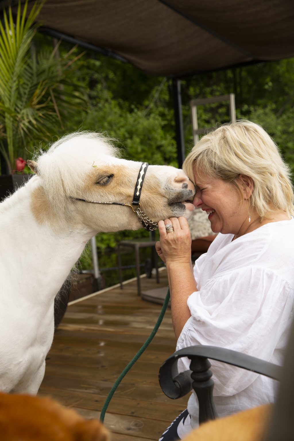 photo Escouade poilue cheval